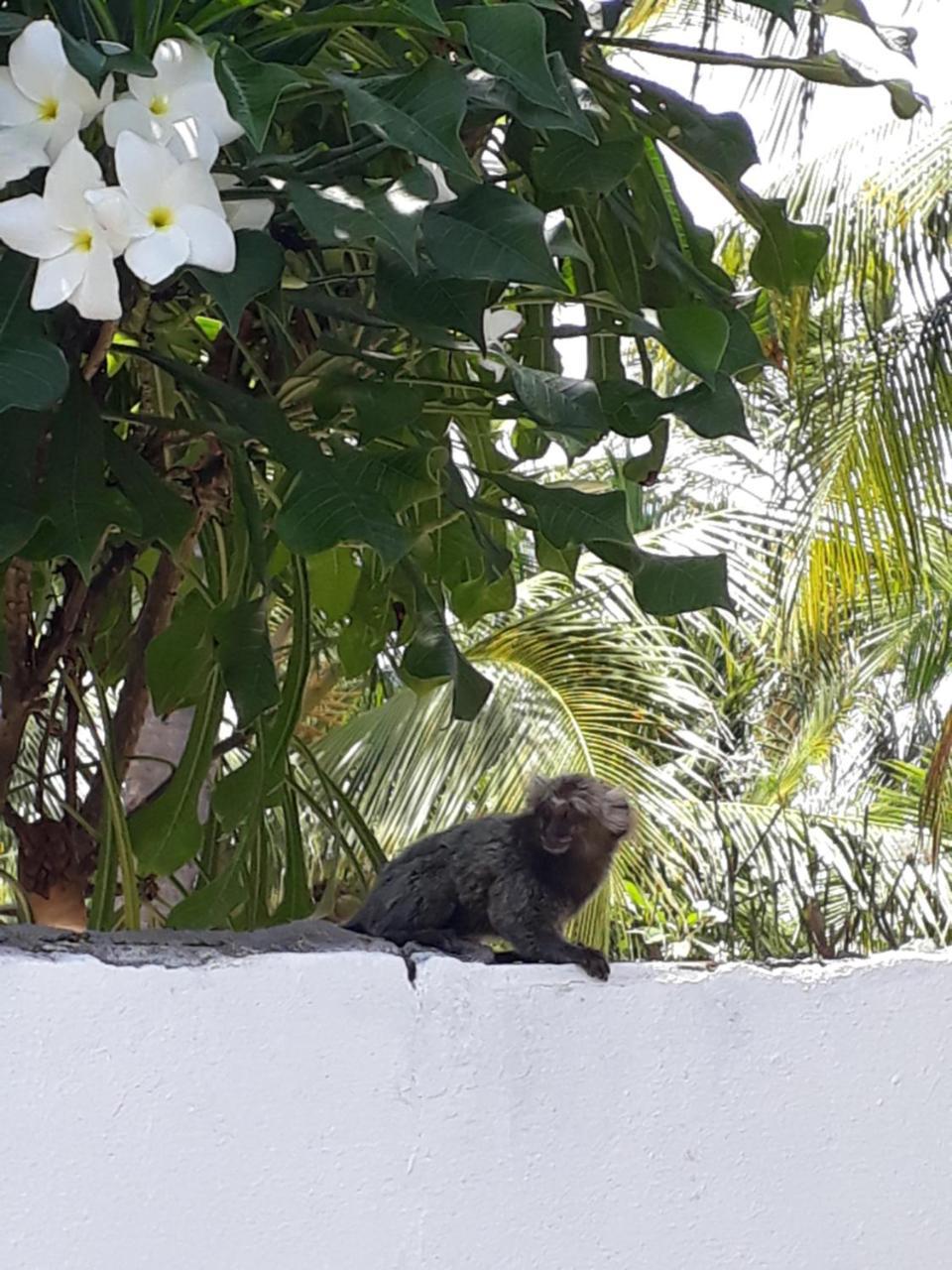 Pousada Caribe Nordestino Tamandare Bagian luar foto