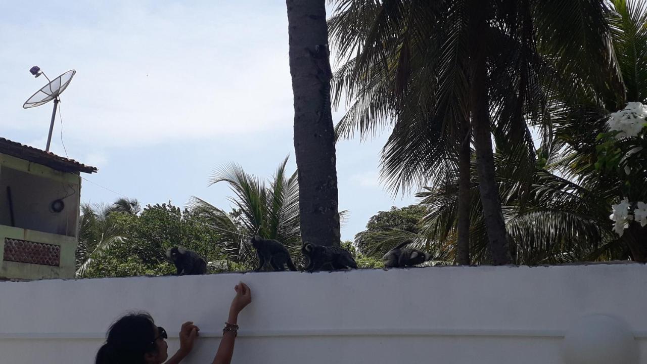 Pousada Caribe Nordestino Tamandare Bagian luar foto